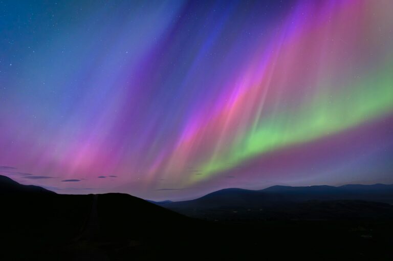 Featured image 1760029128